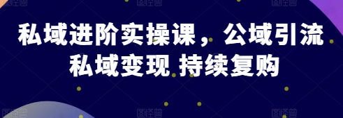 私域进阶实操课