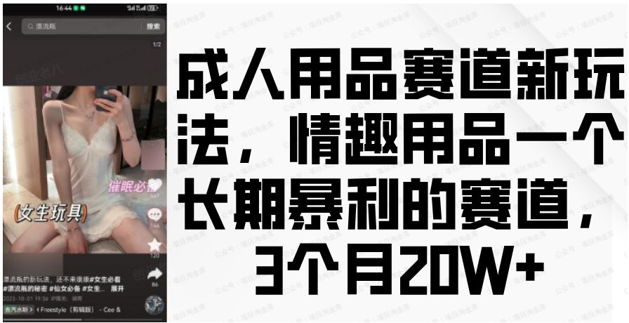 成人用品赛道新玩法，侵权用品一个长期暴利的项目，3个月20万+