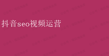 抖音SEO视频