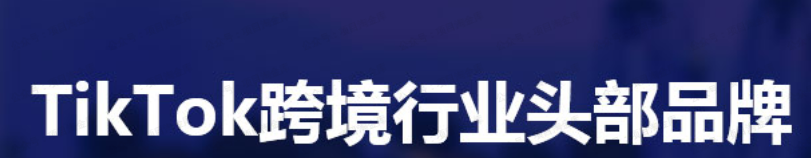 大鱼老师·Tiktok东南亚小店运营